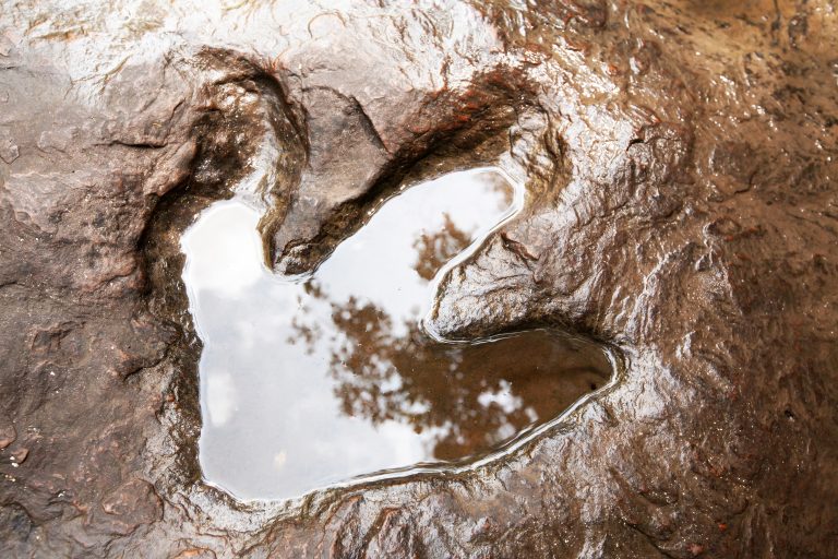9 Facts Unveiling Dinosaur Ridge’s Real Footprints