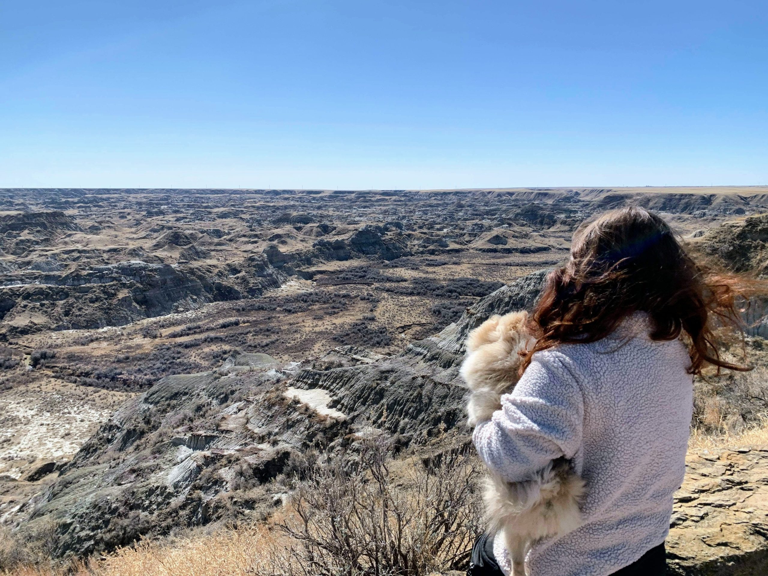 traveling with pets to fossil sites