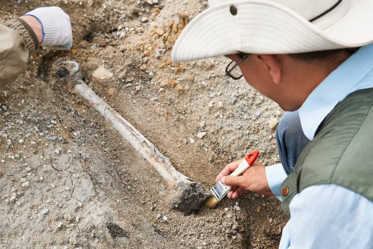 7 Tough Downsides of Being a Paleontologist