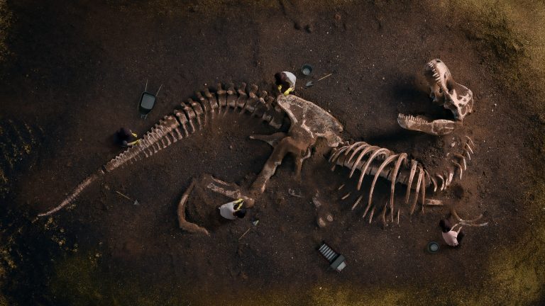 10 Surprising Facts About Dinosaur Bones Value