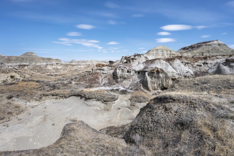 5 Essential Tips for Fossil Site Travel Planning
