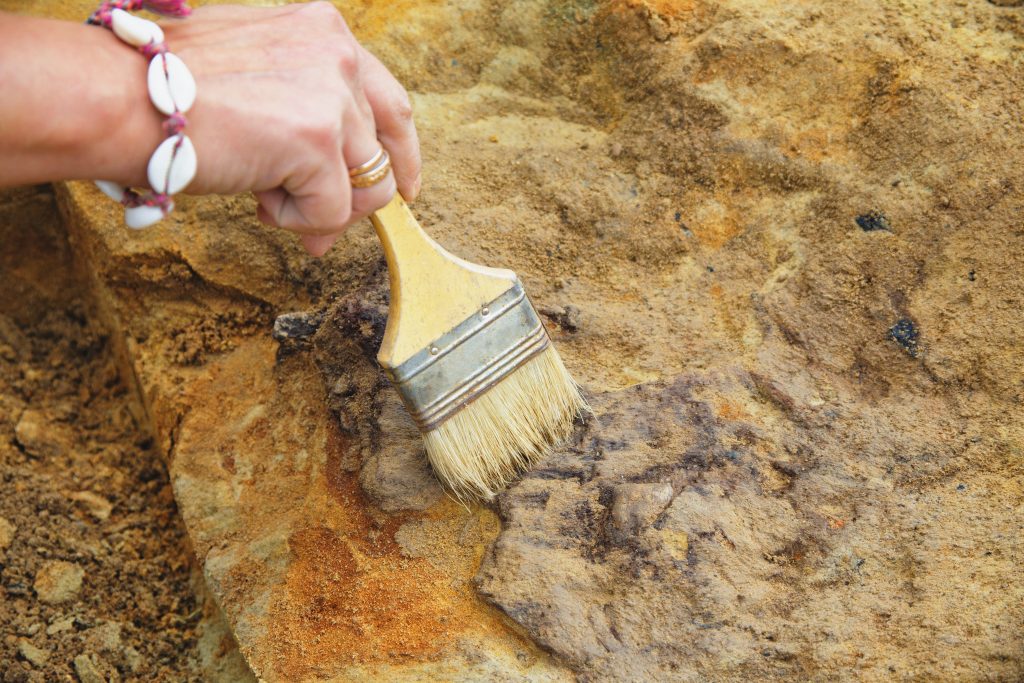 Girl's hand-archaeologist, clearing a medieval grave from under the clay layer