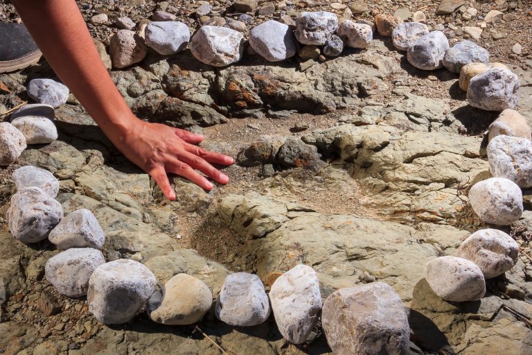 5 Hidden Risks in Dinosaur Excavation Revealed