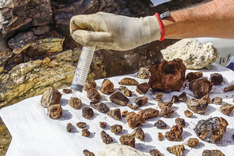 9 Fascinating Fields of Paleontology Explored