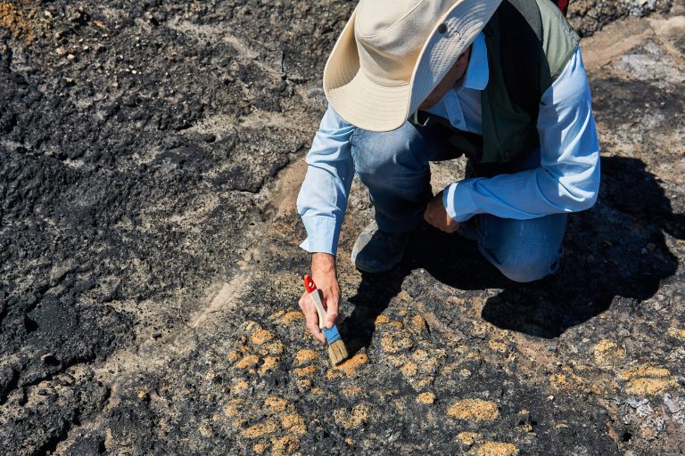 10 Surprising Downsides of Paleontology Explored