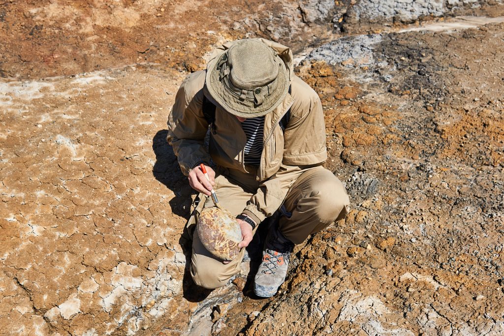 paleontologist holding and brushes a rounded ovoid fossil resembling an dinosaur egg in a desert