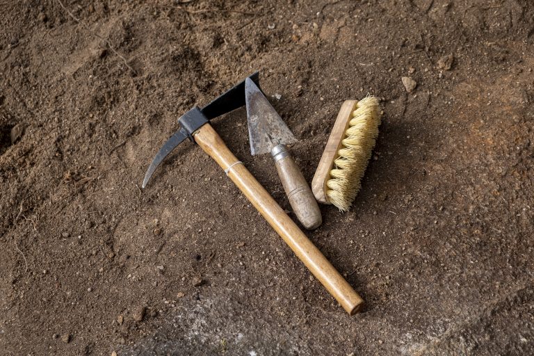 7 Essential Gear Picks for Fossil Hunting Success