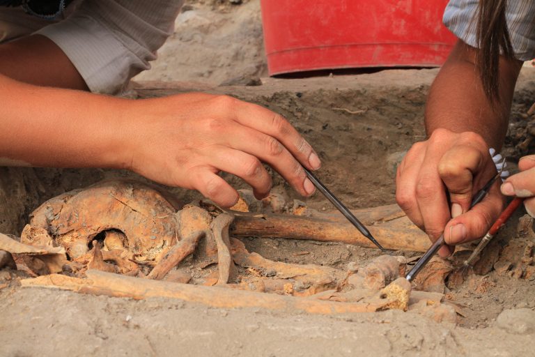 8 Essential Tools for Fossil Prep Mastery
