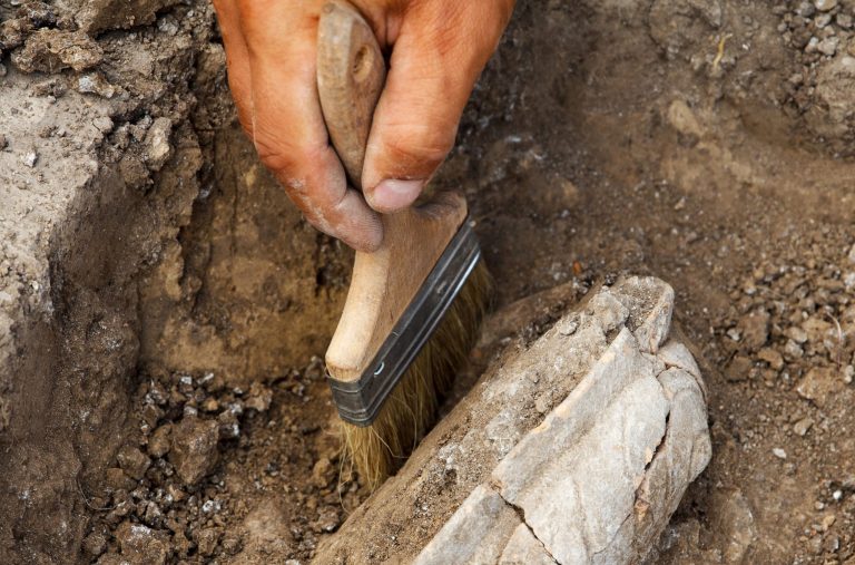 10 Essential Steps to Preparing a Fossil Like a Pro