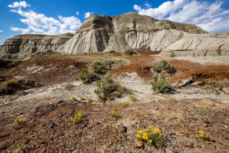7 Fossil Sites Where Weather Unveils History