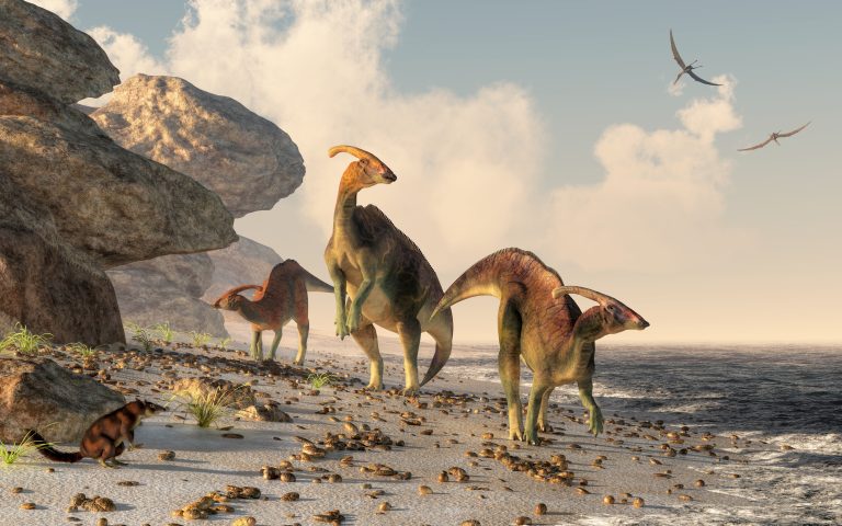 5 Most Amiable Dinosaurs That Ever Roamed Earth