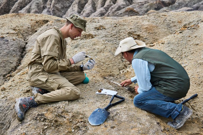 10 Challenges of Language Barriers in Fossil Tourism